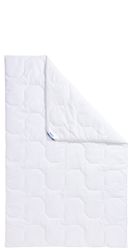 Beco Kunstfaserbettdecke "Gregor, Bettdecken für Sommer und Winter, Ganzjah günstig online kaufen