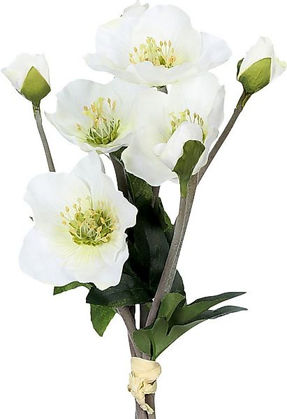 Kunstpflanze Kunstpflanze Christrosenbund im 4er-Set günstig online kaufen