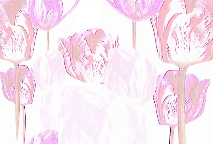 Architects Paper Fototapete »Atelier 47 Tulip Artwork 1« floral glatt Vlies günstig online kaufen