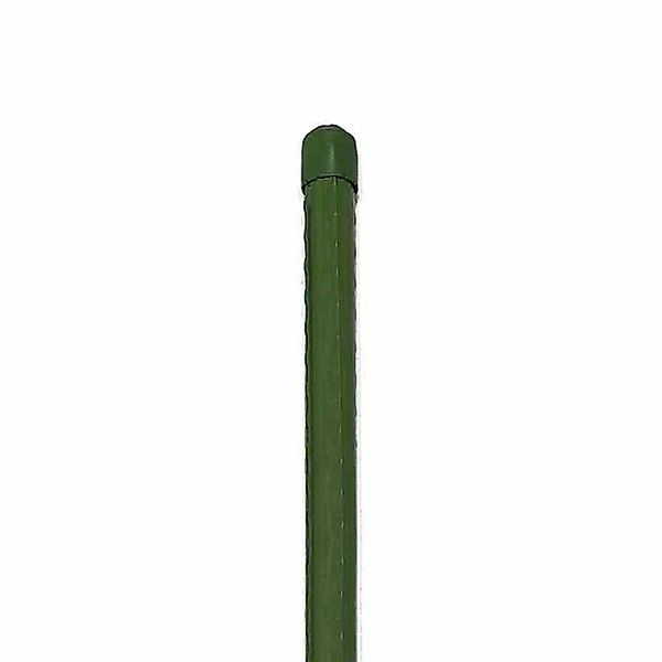 Siena Garden Rankhilfe Pflanzstab 16 x günstig online kaufen