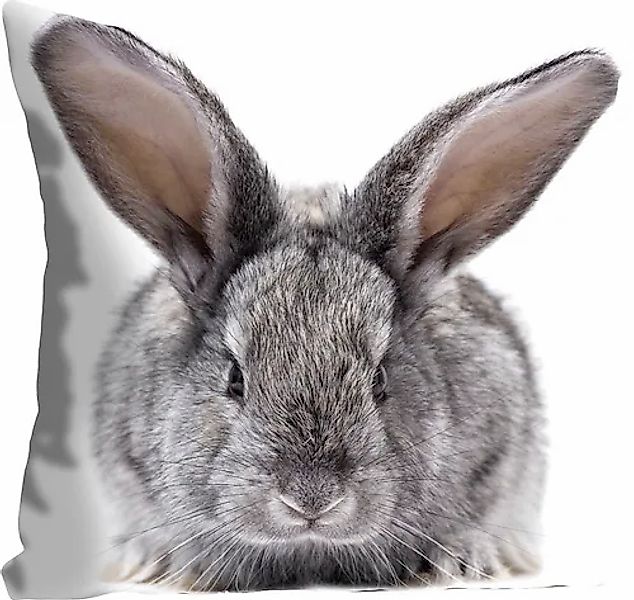 queence Dekokissen "Sixten" mit einem flauschigen Hasen günstig online kaufen