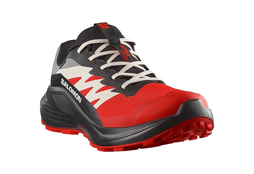 Salomon ALPHAGLIDE GORE-TEX Laufschuh wasserdicht günstig online kaufen