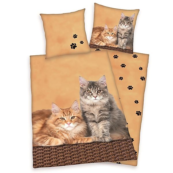 Bertels Kinderbettwäsche Wende Bettwäsche Katzen Bettwäsche günstig online kaufen