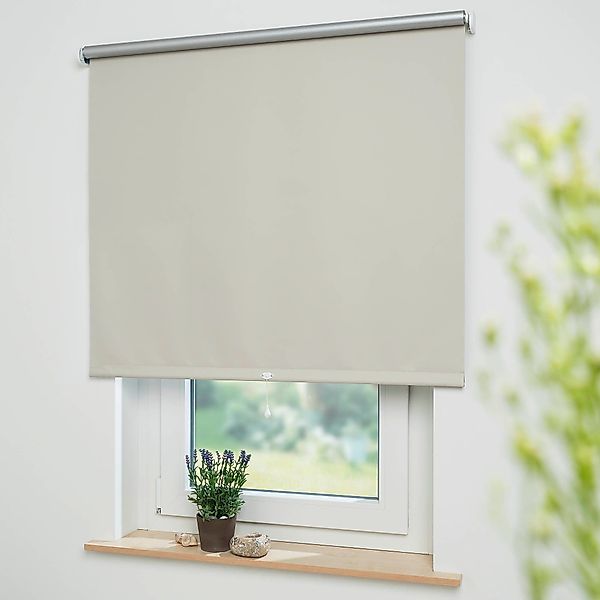 Springrollo Thermo-Rollo, Liedeco, verdunkelnd, freihängend, verschraubt, günstig online kaufen