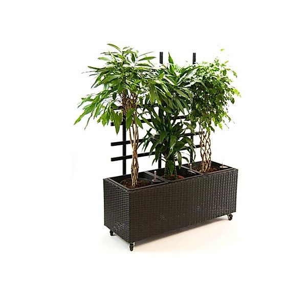 Elegant Einrichten Pflanzkübel Polyrattan mit Rankgitter Rechteckig 106x38x günstig online kaufen