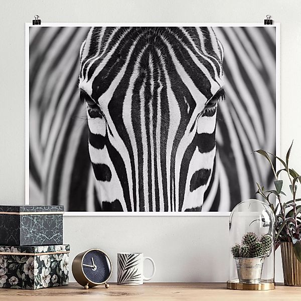 Poster - Querformat Zebra Look günstig online kaufen