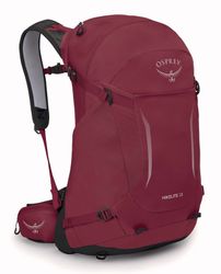 Osprey Rucksack Hikelite 28 (Set, 2-tlg) günstig online kaufen