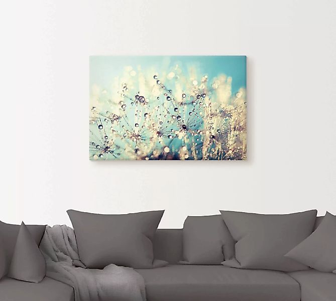 Artland Leinwandbild »Pusteblume benetzt mit Tautropfen«, Blumen, (1 St.) günstig online kaufen