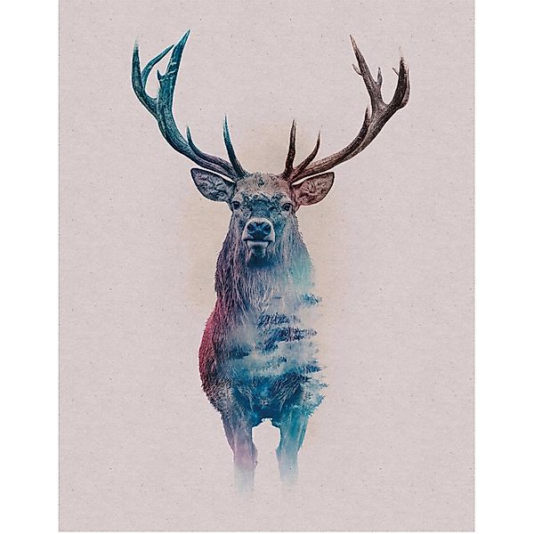 Komar Bild "Animals Forest Deer", Tiere, (1 St.), Wandbild zur Dekoration - günstig online kaufen
