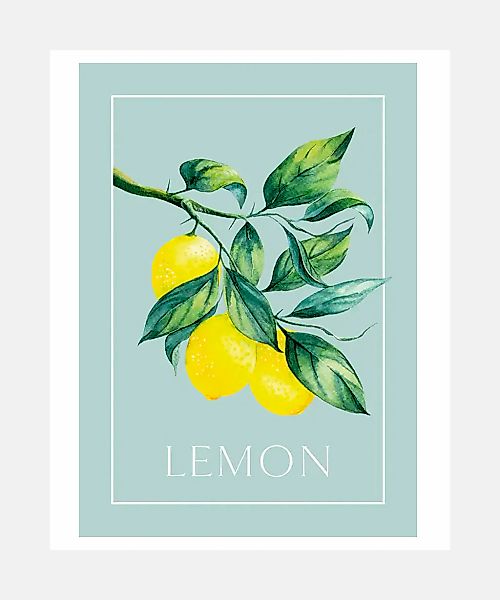 queence Poster "Lemon - Zitronenzweig", Abstrakt-Figuren-Obst-Obst Bilder-S günstig online kaufen