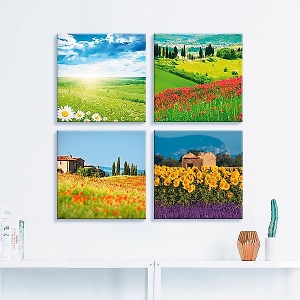 Artland Leinwandbild »Gänseblume Zypressen Mohn Lavendel«, Felder, (4 St.), günstig online kaufen