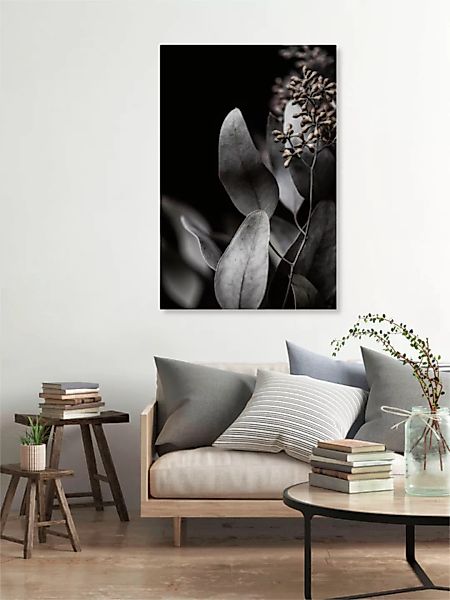 Poster / Leinwandbild - Eucalyptus 11 günstig online kaufen