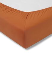 Estella Spannbettlaken Spannbetttuch Zwirn-Jersey Topper, Jersey, günstig online kaufen