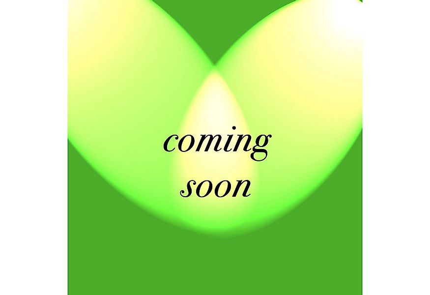 Scoot and Ride Lauflernhilfe Highwaykick 1 Push & Go - Rutscherfahrzeug günstig online kaufen