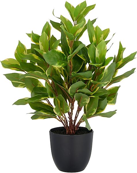 Kunstpflanze Epipremnum aureum, Creativ green, Höhe günstig online kaufen