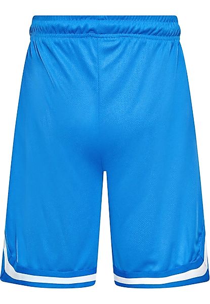 Dropsize Shorts "Dropsize Herren Dropsize Logo Mesh Shorts" günstig online kaufen