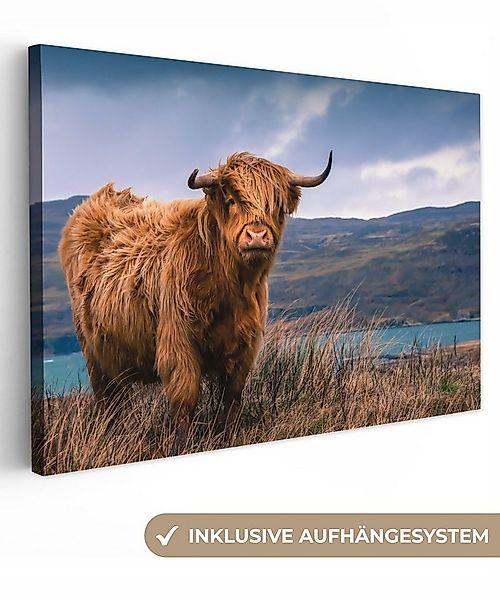 OneMillionCanvasses® Leinwandbild Schottischer Highlander - Berg - Wasser - günstig online kaufen