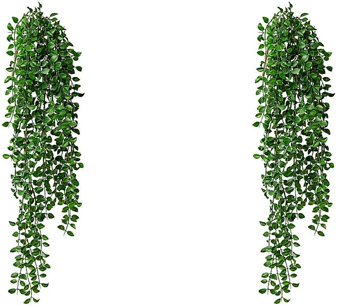 Kunstranke Hängebusch Columnea Columnea, Creativ green, günstig online kaufen