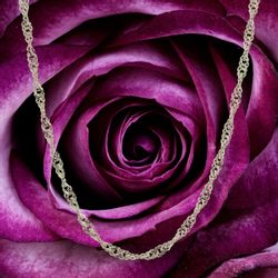 HOPLO Silberkette Silberkette Singapurkette Breite 1,4 günstig online kaufen