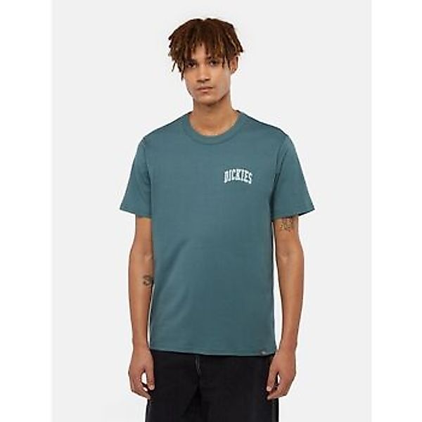 Dickies  T-Shirts & Poloshirts AITKIN CHEST TEE DK0A4Y8O-J951 LICOL GREEN günstig online kaufen