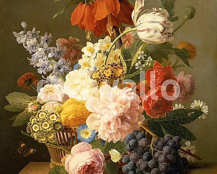 Fototapete "Stillleben Blumen und Frchte" 2,07x2,50 m / Glattvlies Perlmutt günstig online kaufen