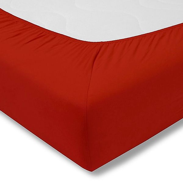 Estella Bettlaken "Feinjersey" Rundumgummi günstig online kaufen