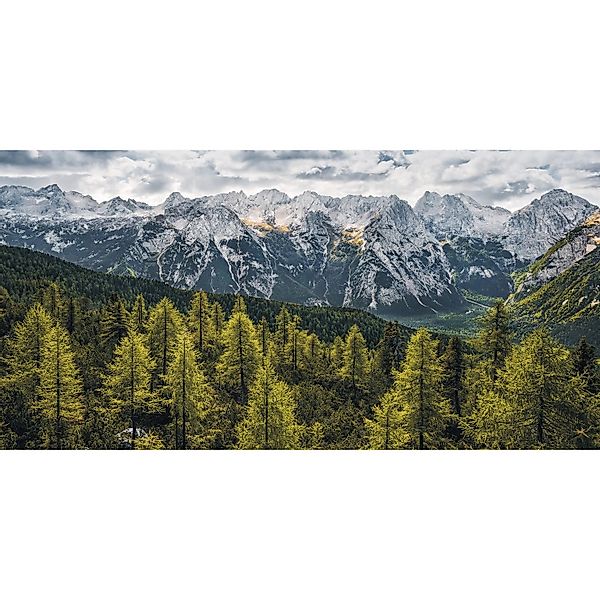 Sanders & Sanders Poster Landschaft Grün und Grau 200 x 100 cm 612570 günstig online kaufen