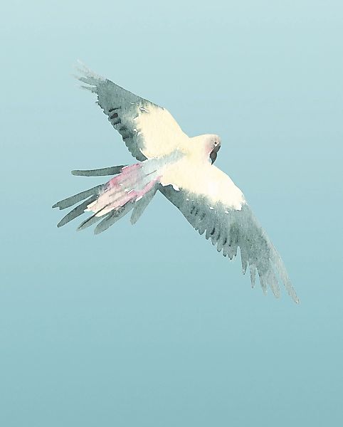 Komar Bild "Ciel" Natur 1 Stk. tlg. Wandbild zur Dekoration - ohne Rahmen günstig online kaufen