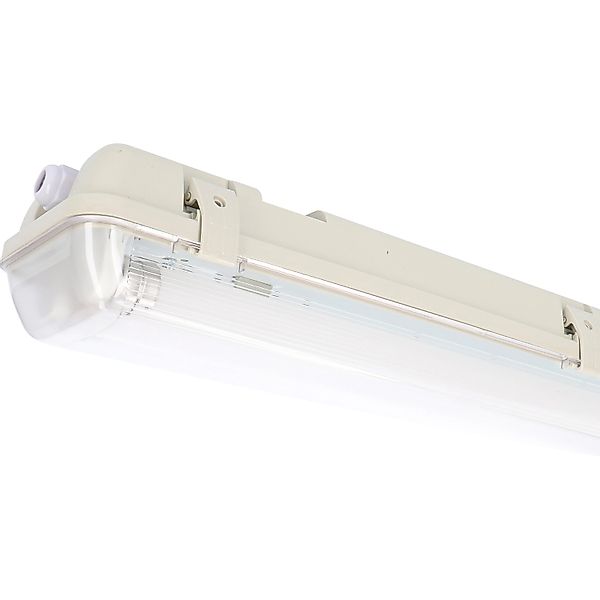 LED's light LED Deckenleuchte 2401204_01 Feuchtraumleuchte, günstig online kaufen