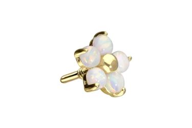 PIERCINGLINE Piercing-Set 14 Karat Gold Schraubaufsatz günstig online kaufen