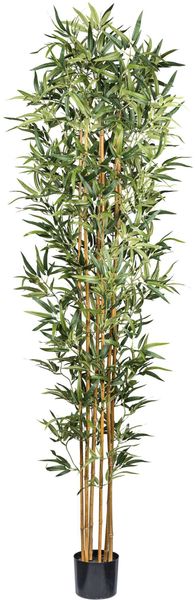 Kunstbaum Bambus Bambus, Creativ green, Höhe günstig online kaufen