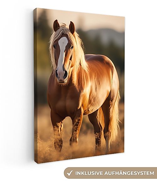 OneMillionCanvasses® Leinwandbild Pferd - Braun - günstig online kaufen