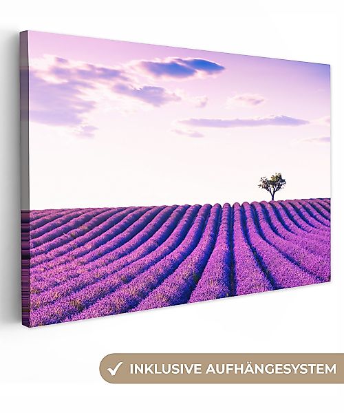 OneMillionCanvasses® Leinwandbild Lavendel - Bäume - günstig online kaufen