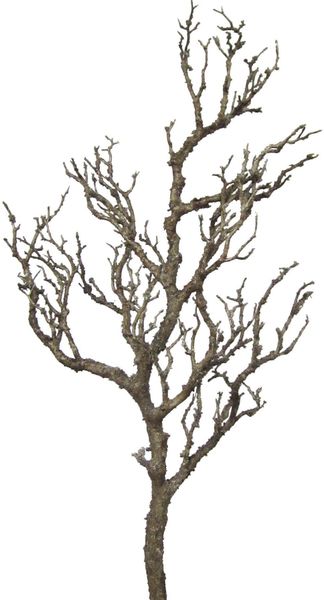 Kunstzweig Dekoast Ast, Creativ green, Höhe günstig online kaufen