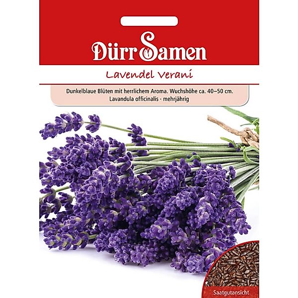 Dürr Samen Lavendel Verani Saatgut günstig online kaufen