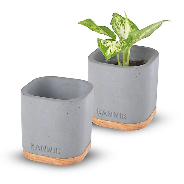 Bannik Blumentopf aus Beton und Holz günstig online kaufen