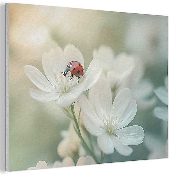 MuchoWow Gemälde Marienkäfer - Blumen - günstig online kaufen