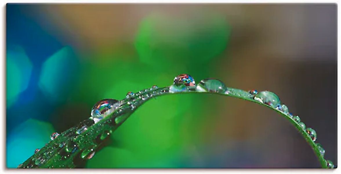 Artland Leinwandbild »Wassertropfen IV« Gräser 1 Stk. tlg. auf Keilrahmen g günstig online kaufen