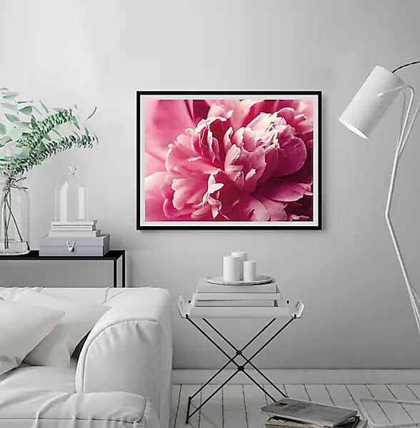 queence Bild »Andreas«, Blumen, Rosen, gerahmt günstig online kaufen
