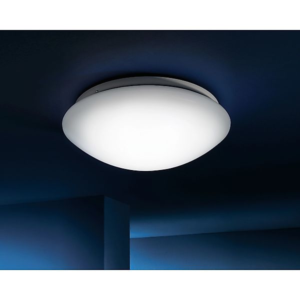 REALITY Leuchten LED Deckenleuchte »PUTZ«, 1 flammig, Leuchtmittel LED-Boar günstig online kaufen
