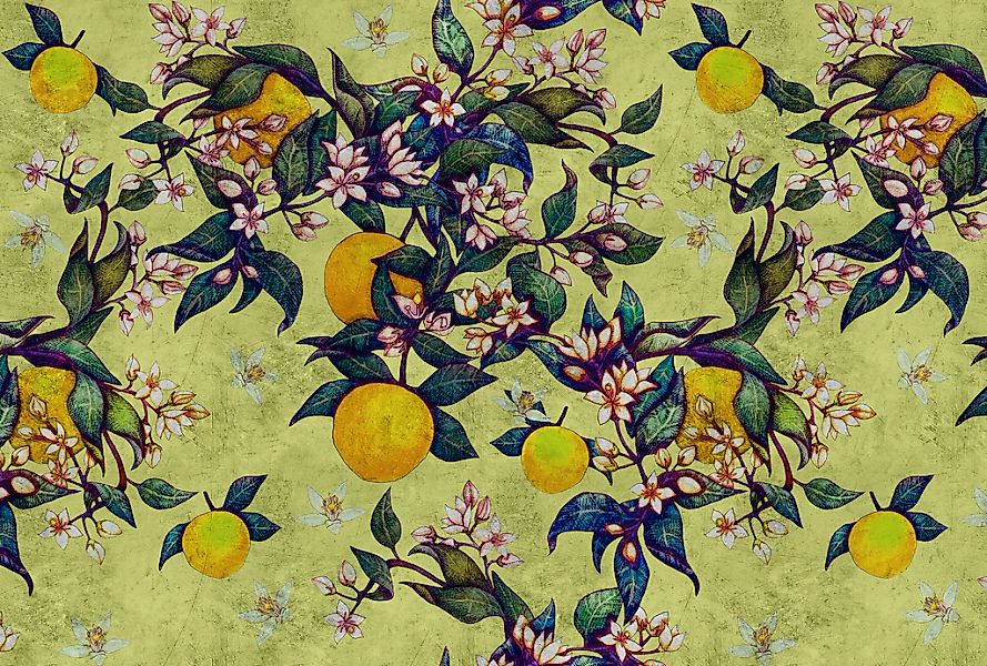 living walls Fototapete "Walls by Patel Grapefruit Tree 1" glatt Vlies, Wan günstig online kaufen