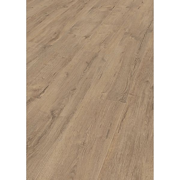 Jangal Laminatboden Oak National Park Line Plus Gobi günstig online kaufen