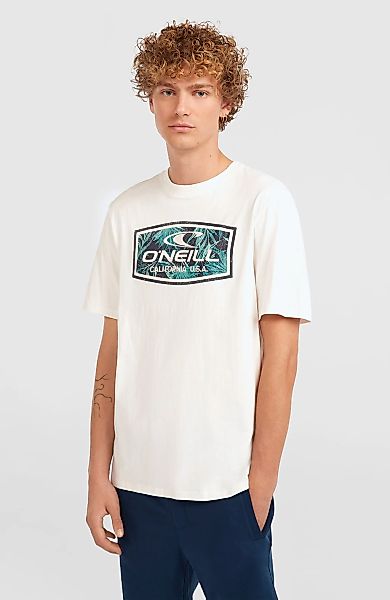 ONeill T-Shirt "ONEILL GRAPHIC T-SHIRT", (1 tlg.) günstig online kaufen
