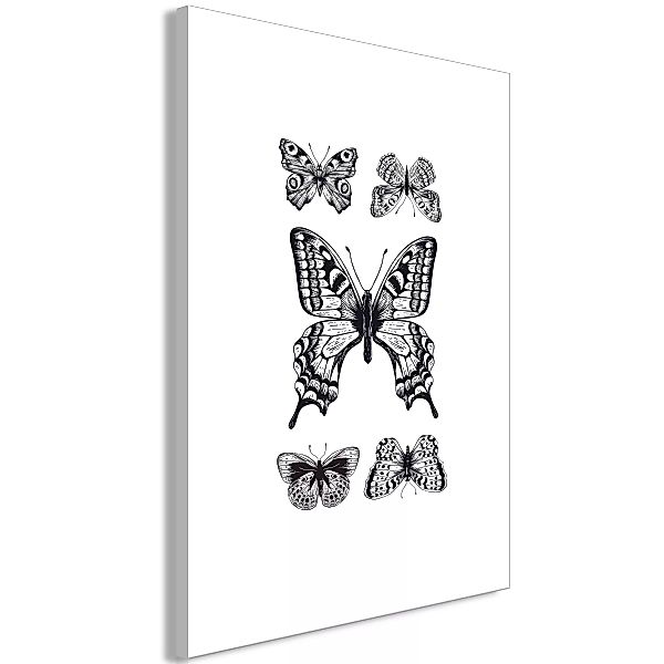 Wandbild - Five Butterflies (1 Part) Vertical günstig online kaufen