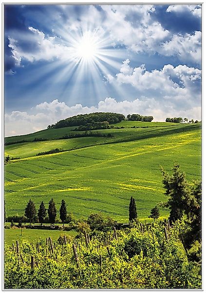 Wallario Poster, Strahlender Sonnenschein, in verschiedenen günstig online kaufen