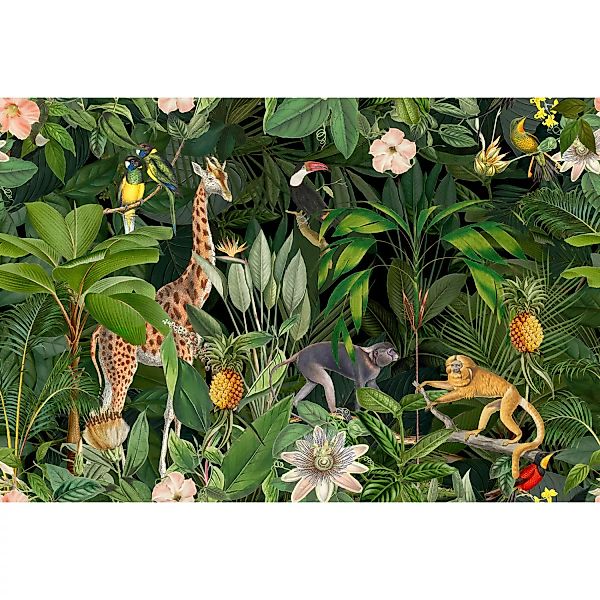 Fototapete Dschungel Tiere Blumen Grün 4,00 m x 2,70 m FSC® günstig online kaufen