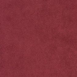 COTTA Sessel Dani günstig online kaufen