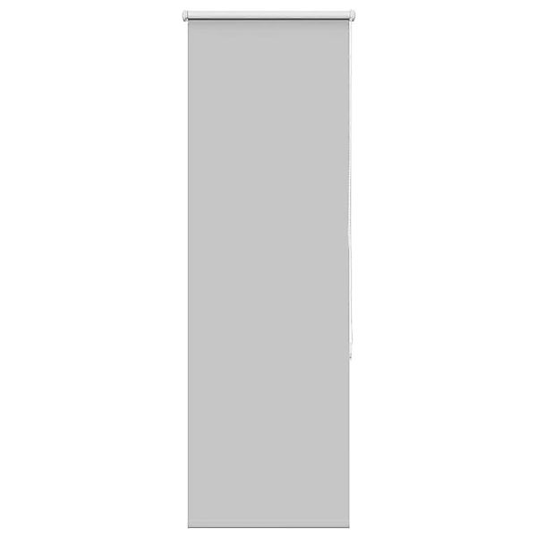 vidaXL Verdunkelungsrollo Hellgrau 50x175 cm Stoffbreite 45,7 cm 4011404 günstig online kaufen