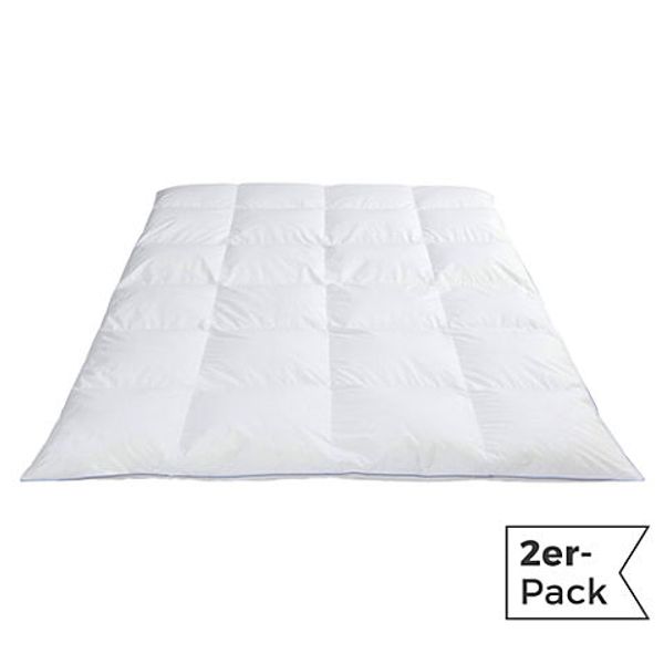 Erwin Müller Daunen-Kassettendecke Bernau 2er-Pack günstig online kaufen