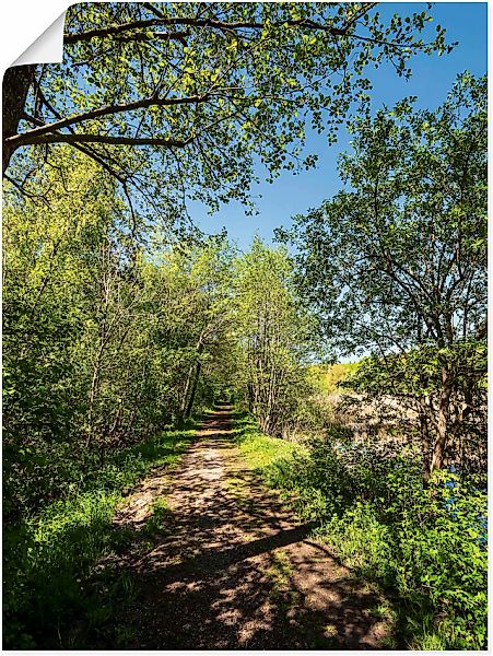 Artland Wandbild »Weg und Bäume bei Kuchelmiß« Waldbilder 1 Stk. tlg. als L günstig online kaufen